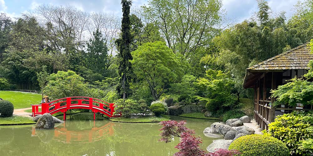 Tea Pavilion Vista