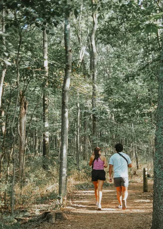 Walking and Jogging Trails