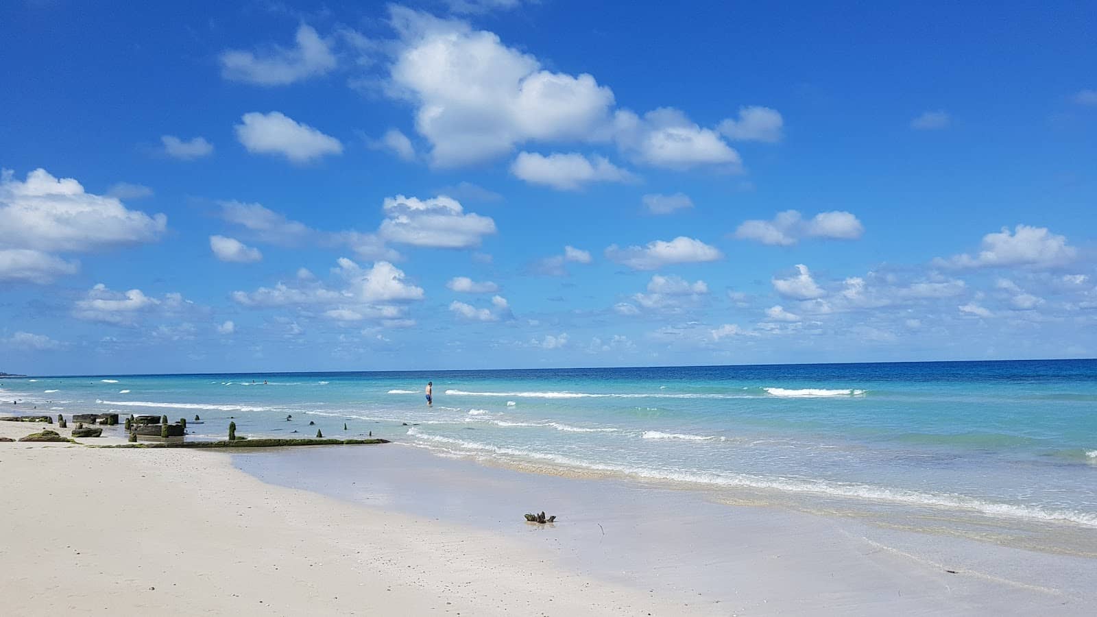 Calm, Warm Tropical Waters
