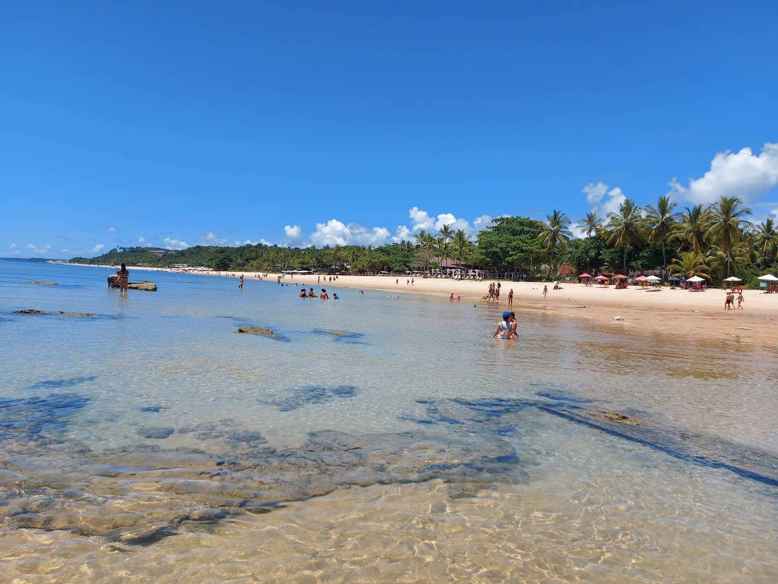 Low Tide Wading