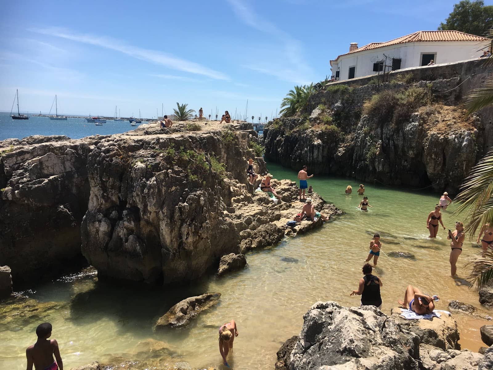 Rock Pool Exploration