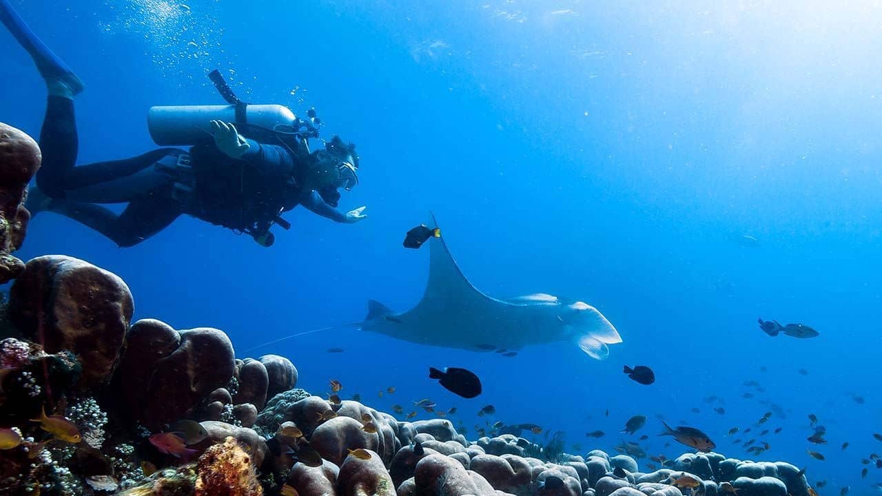 Unique Underwater Exploration