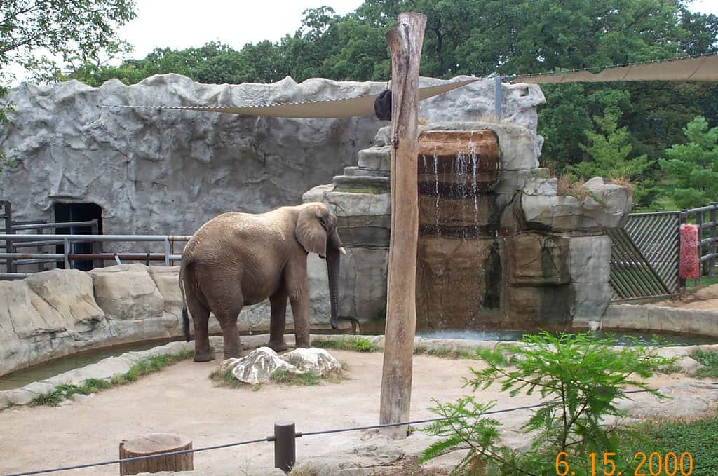 Animal Encounters