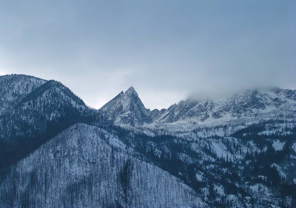 Winter Wonderland