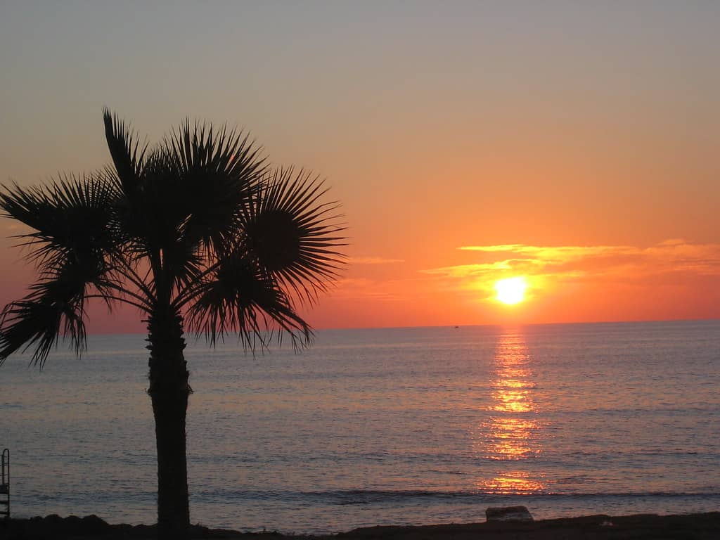 Sunset Spectacle