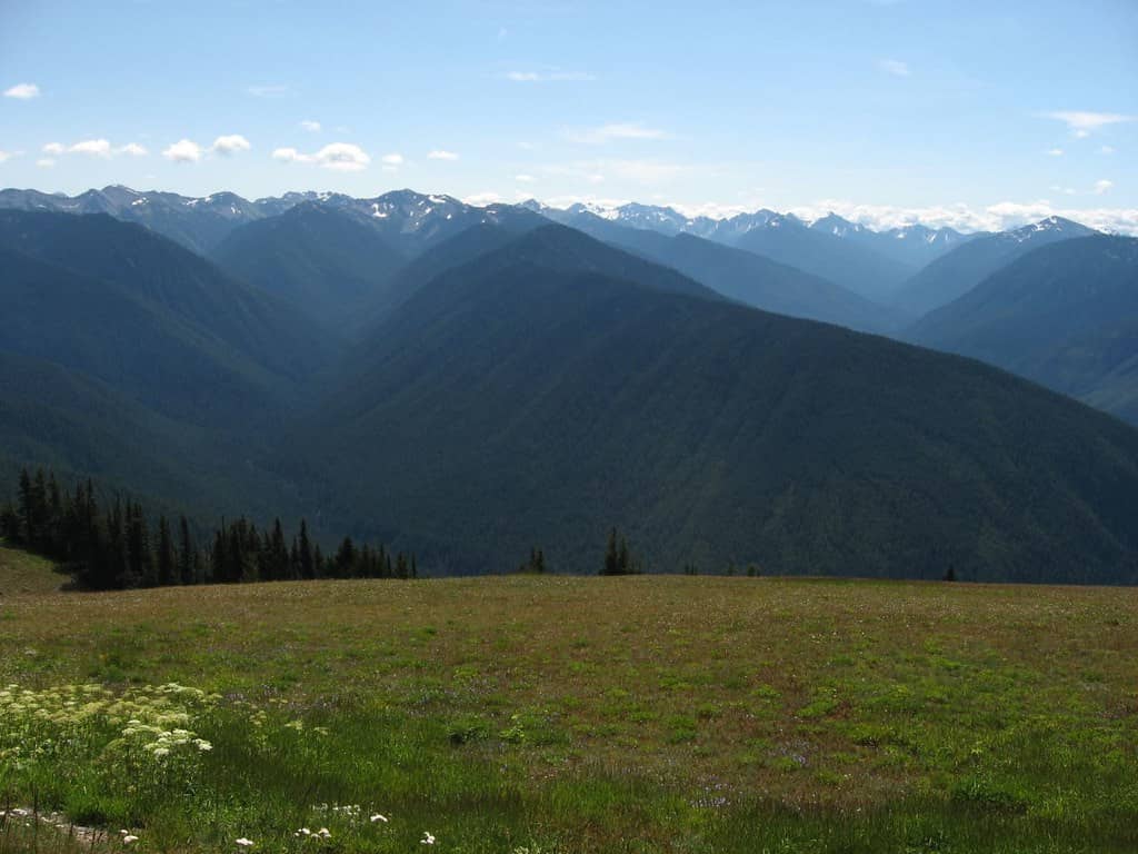 Alpine Vistas