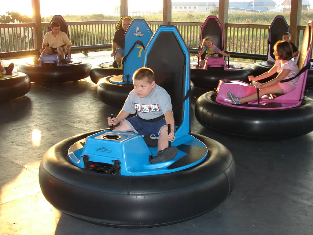 Bumper Cars