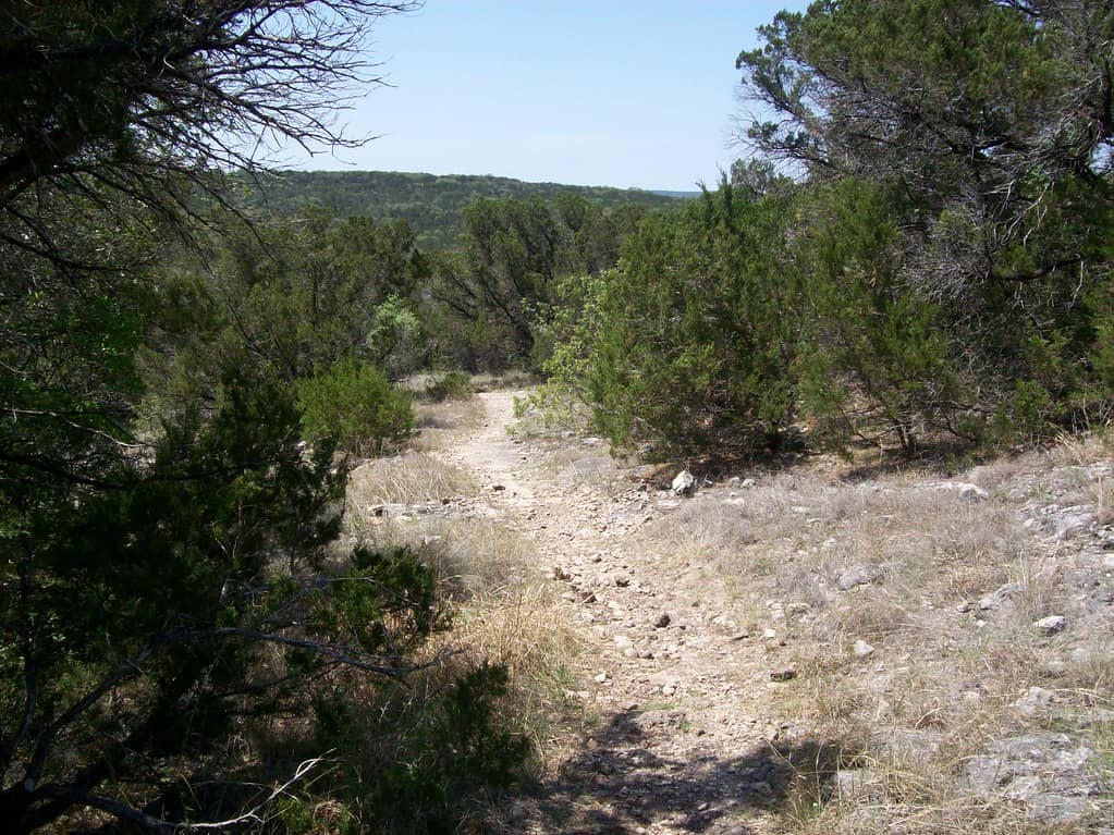 Kid-Friendly Trails