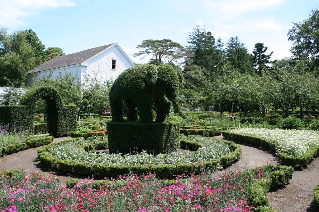Vibrant Flower Gardens