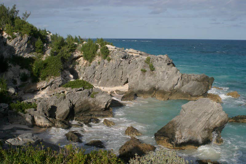 Wild South Beach