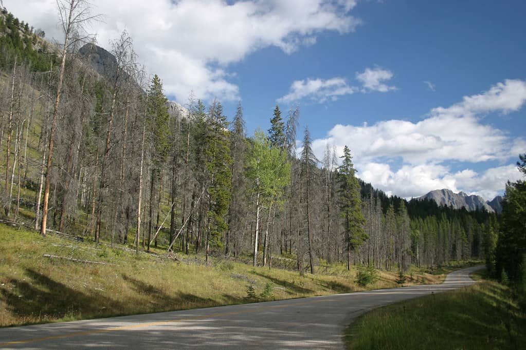 Scenic Viewpoints