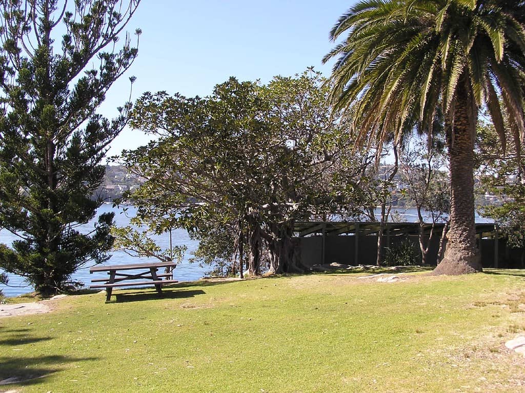 Picnic Paradise