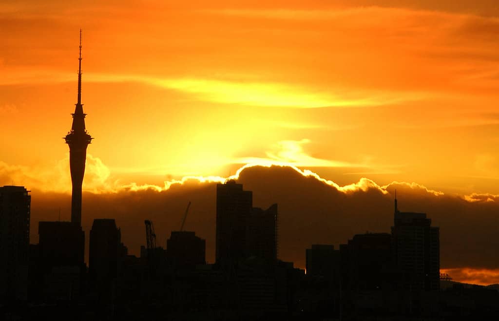 Sunset City Views