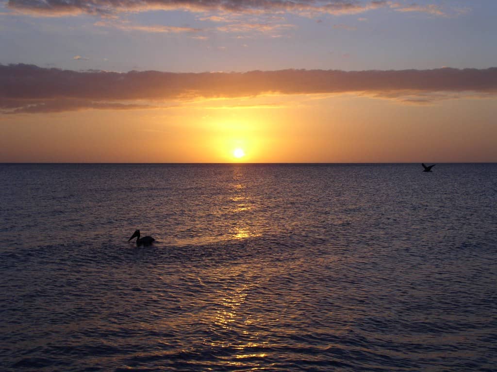 Spectacular Sunsets