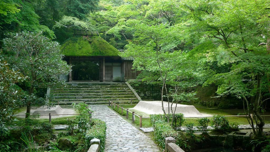 Mossy Gardens