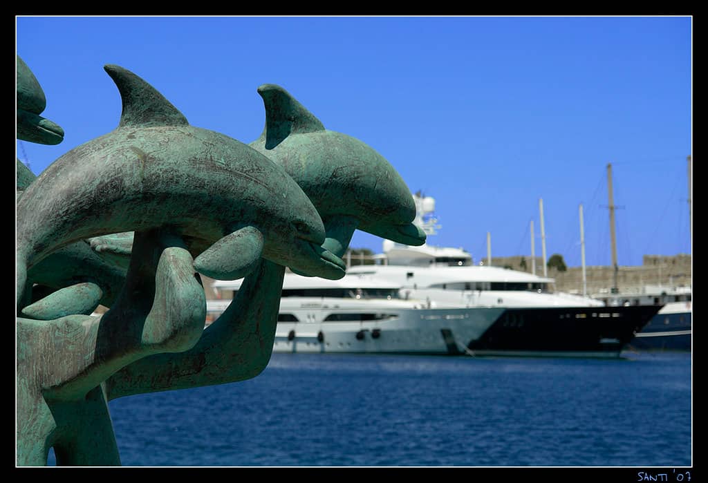 Dolphin Spotting