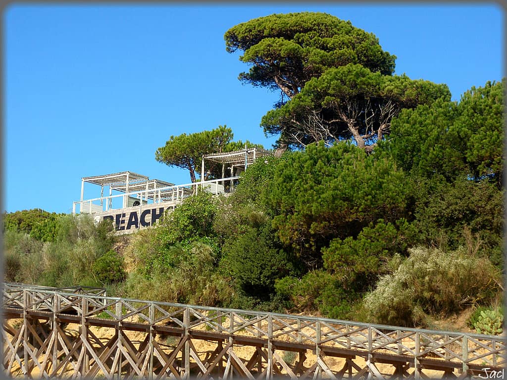 Coastal Boardwalk