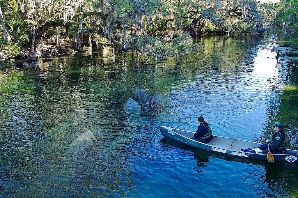 Kayaking & Canoeing