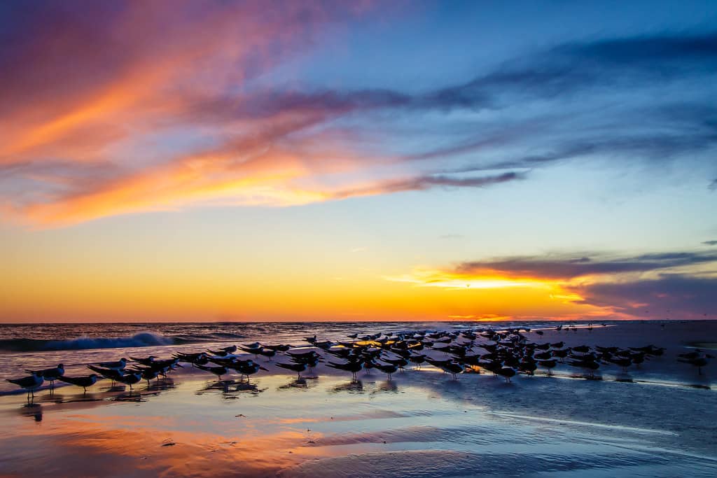 Stunning Sunsets