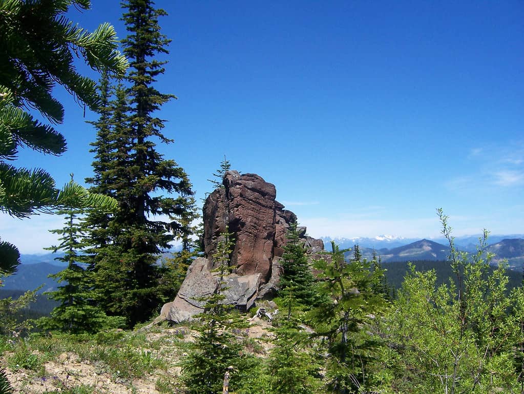 Hiking Trails