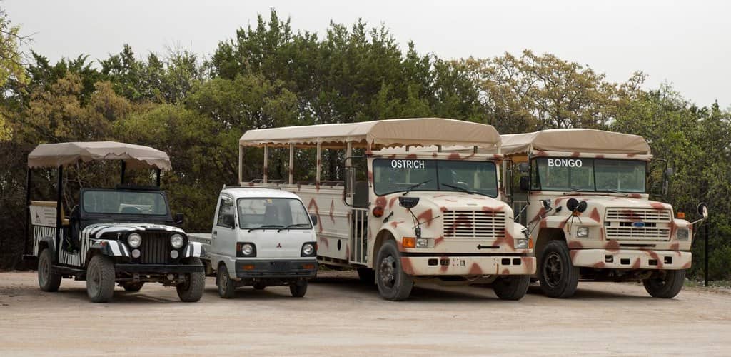 Drive-Thru Safari