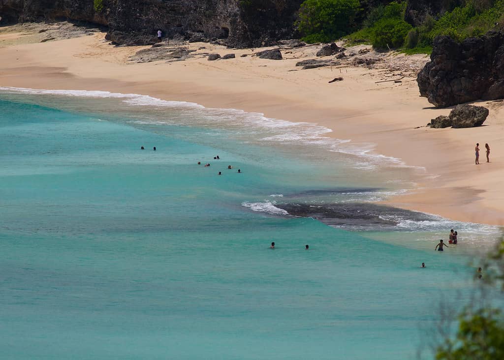 Surfing Paradise