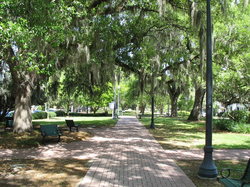Tranquil Green Space