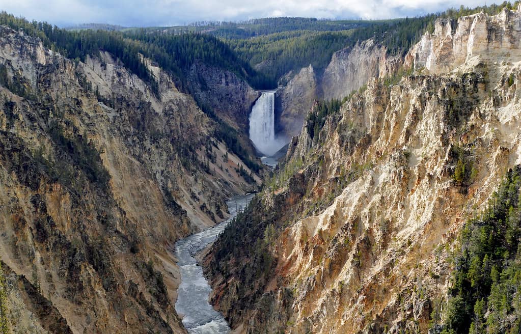Vibrant Canyon Walls
