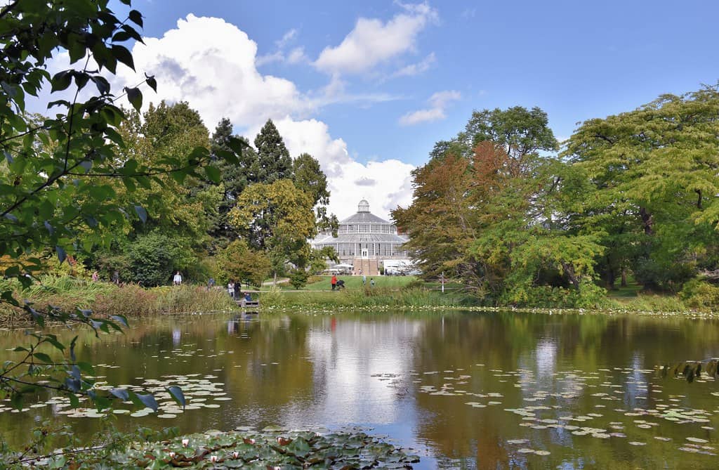 The Serene Lake