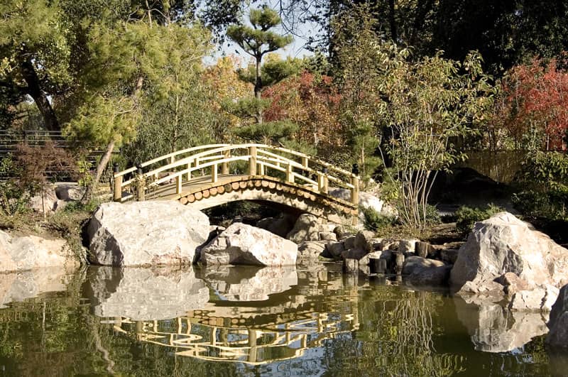 Japanese Garden