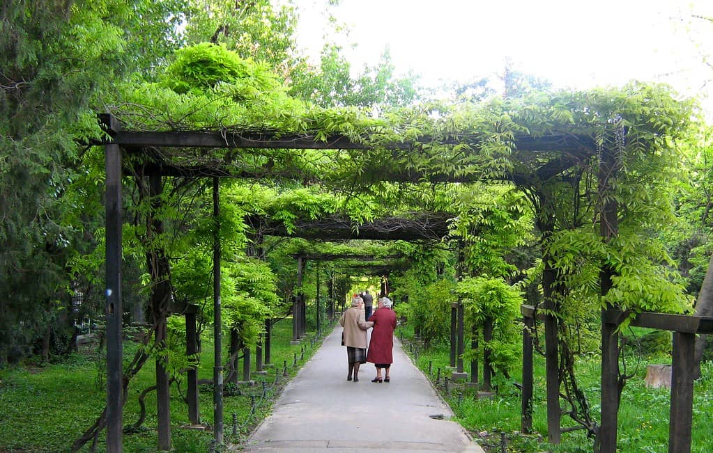 Children's Paradise Playground