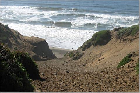 Dog-Friendly Beach