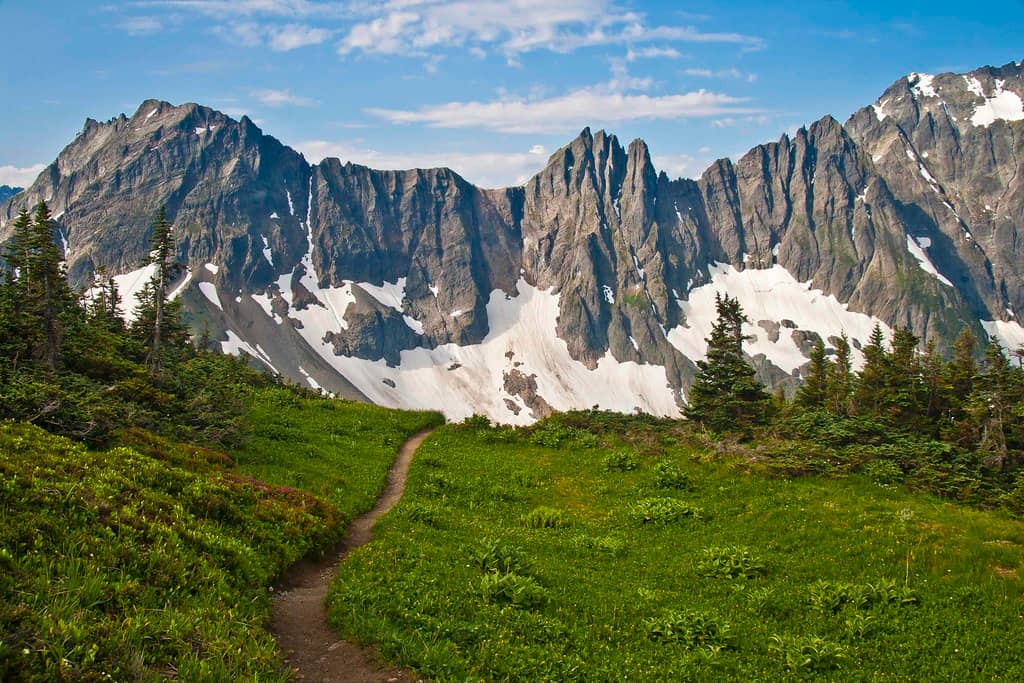 Sahale Arm Trail to Sahale Glacier Camp