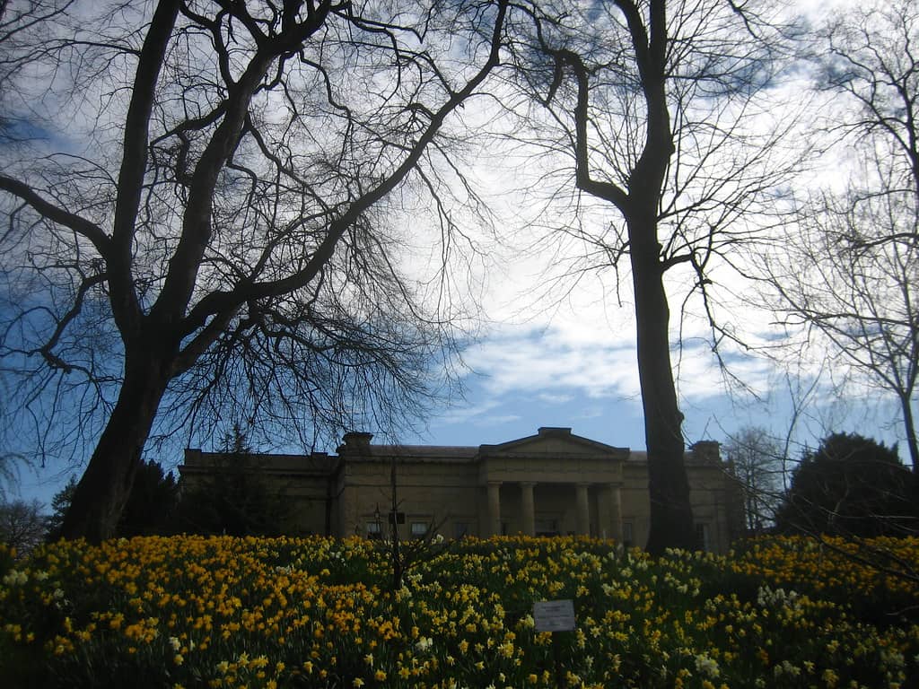 Museum Gardens Serenity