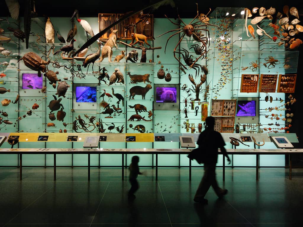 Biodiversity Displays