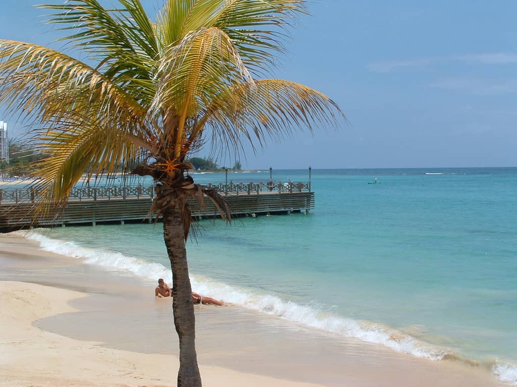 Relax on the Beach