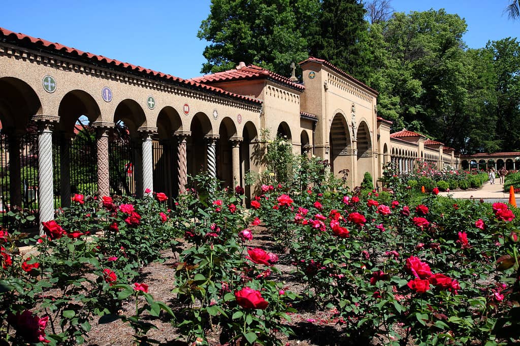 Peaceful Gardens