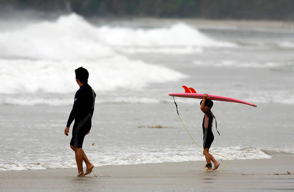 Surfing & Swimming
