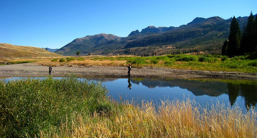 Slough Creek Fly Fishing
