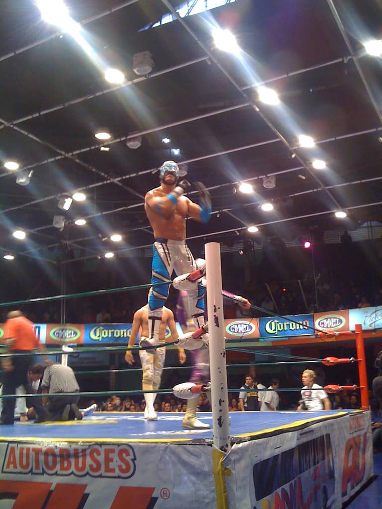 Iconic Luchadores
