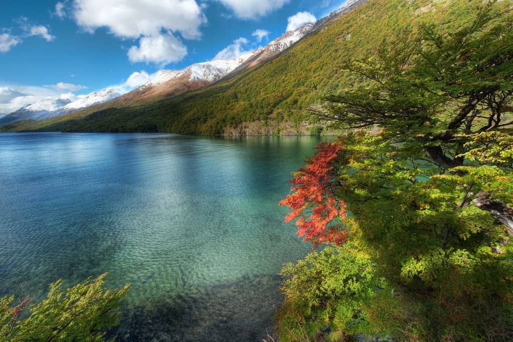 Panoramic Lake Views