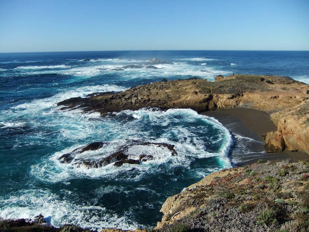 Sea Lion Point