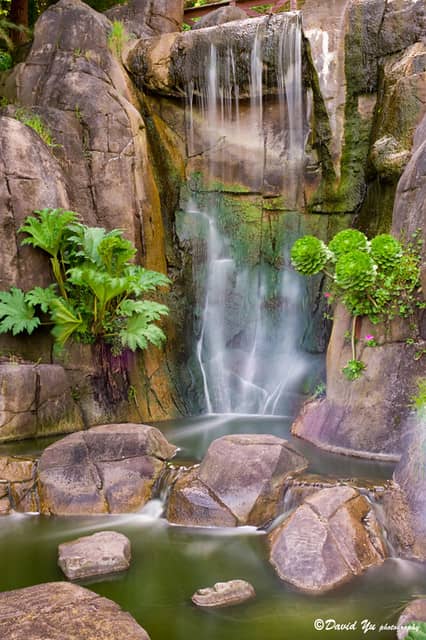 Waterfall Views