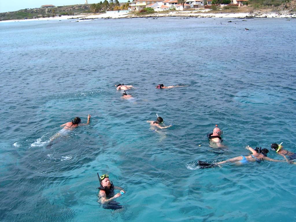 Vibrant Snorkeling