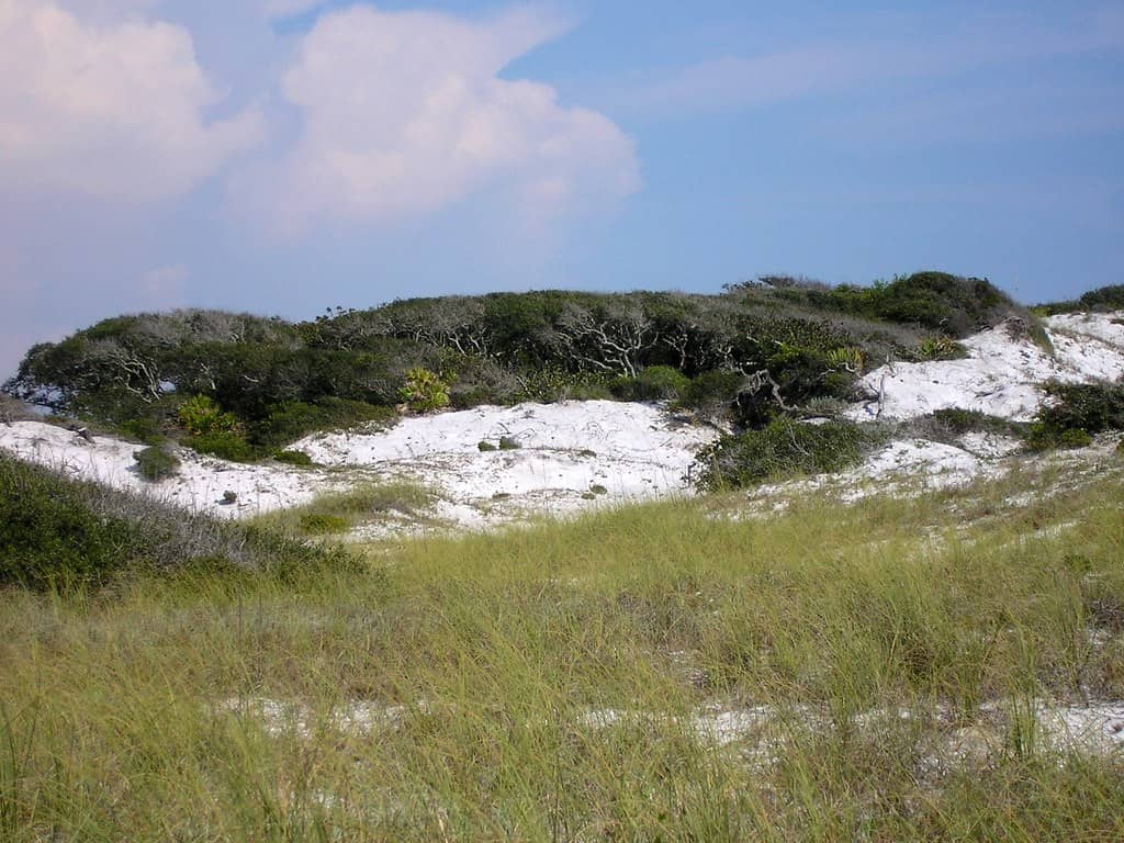 Coastal Dune Lakes