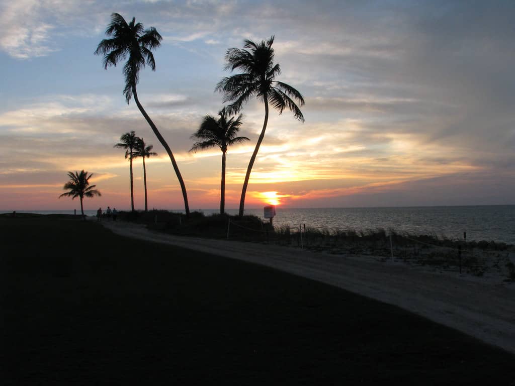 Sunset Views