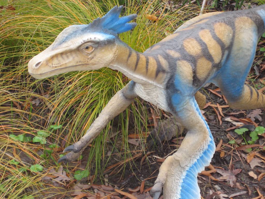 Dinosaur Trail