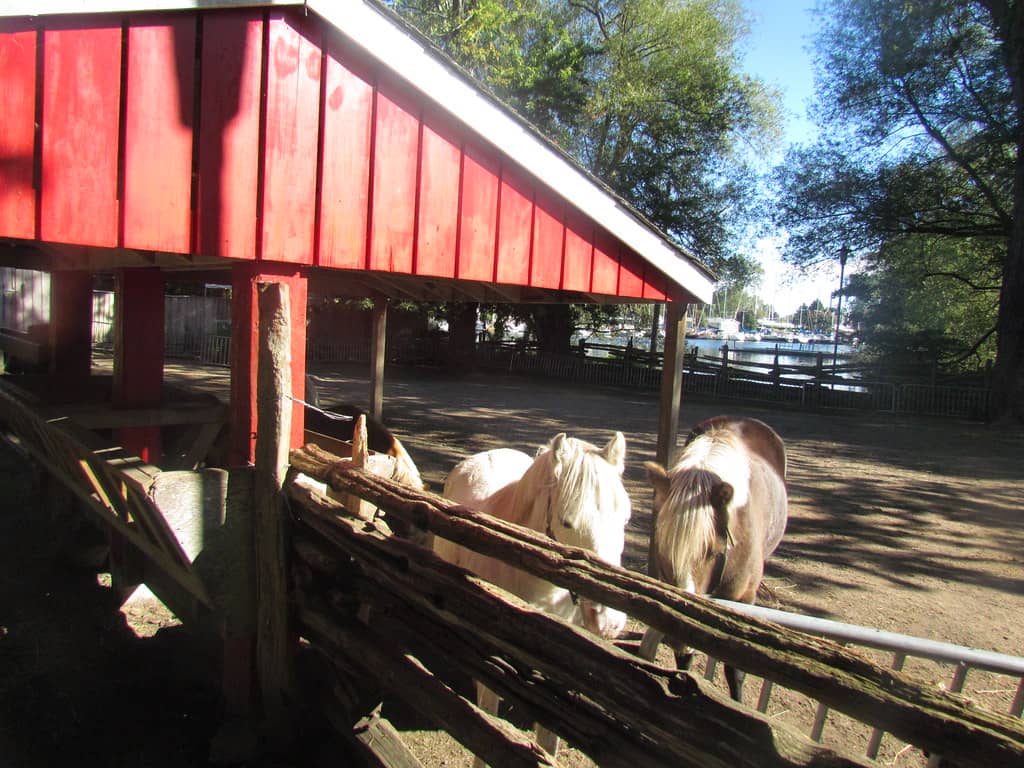 Hobby Farm Fun