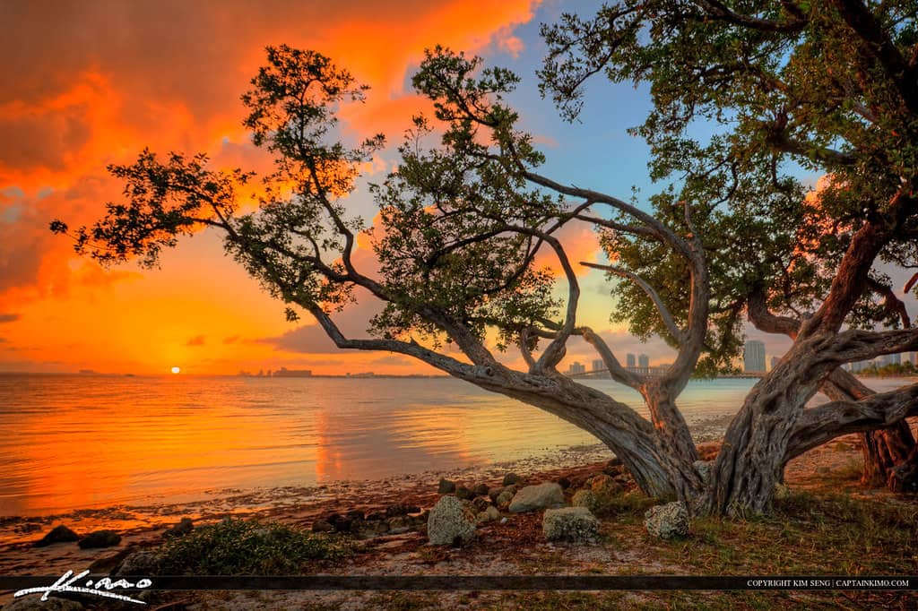 Sunset Spectacle