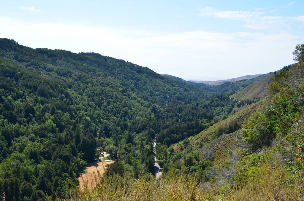 Valley View Trail